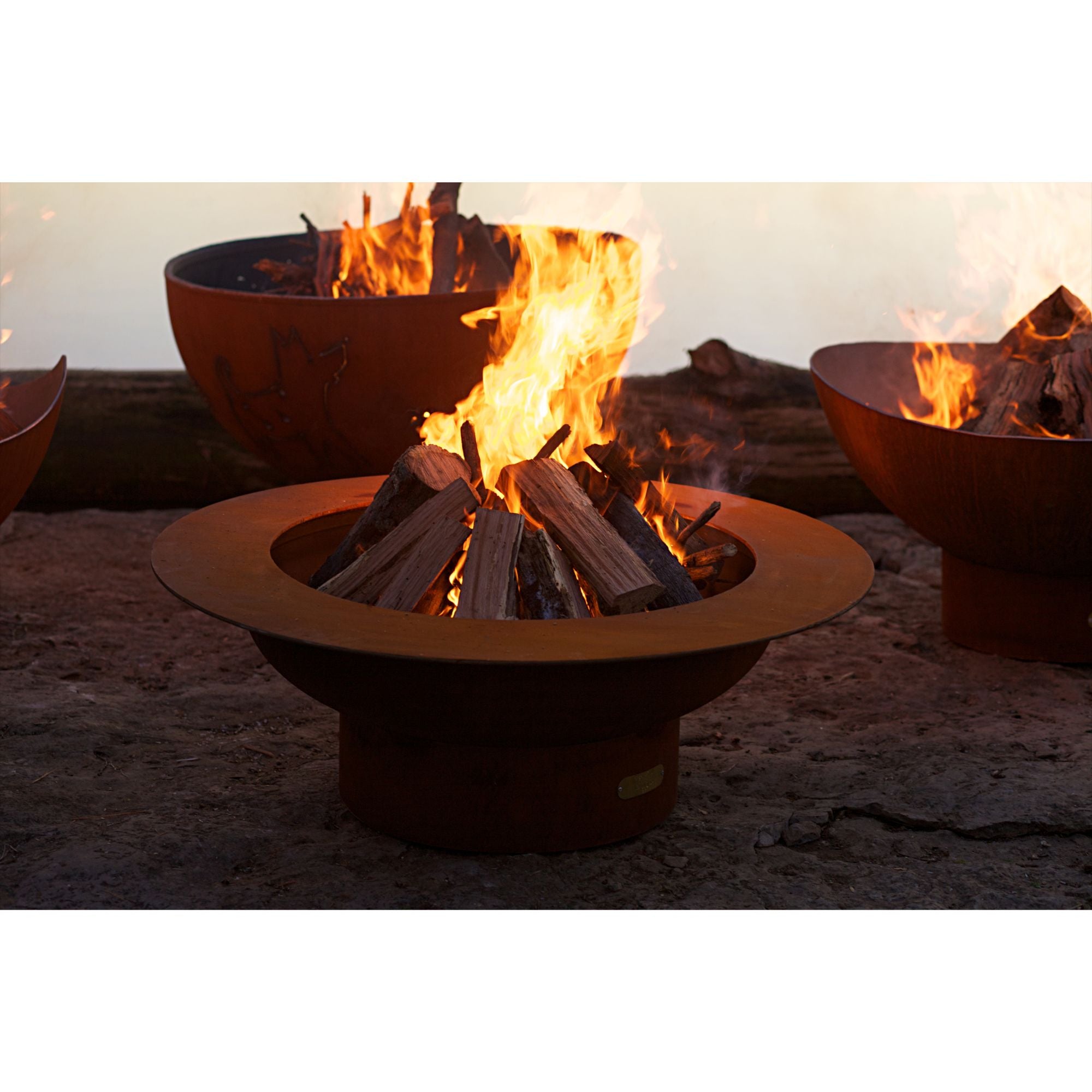Fire pit with burning wood in a natural setting