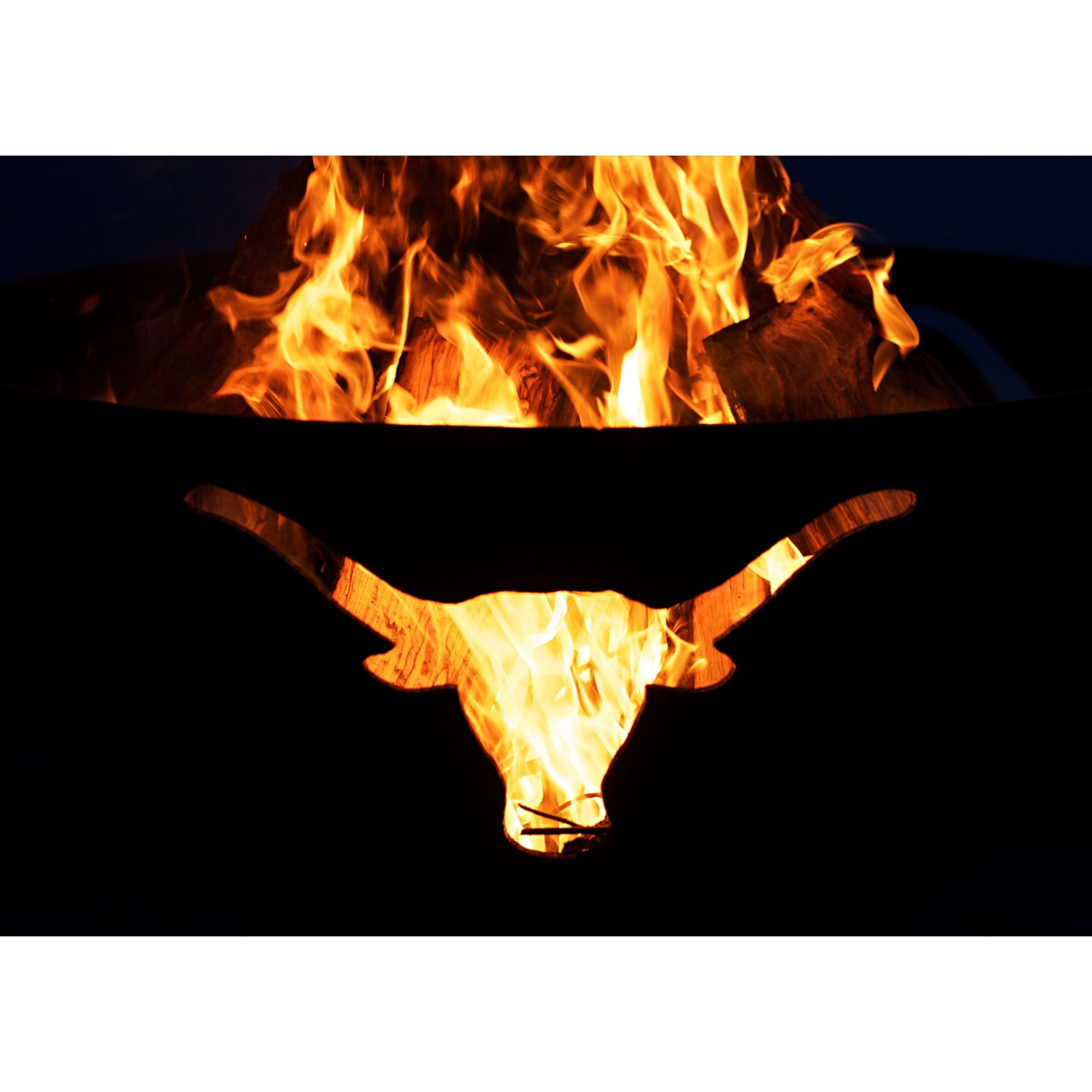 Flaming bull skull with long horns on a black background
