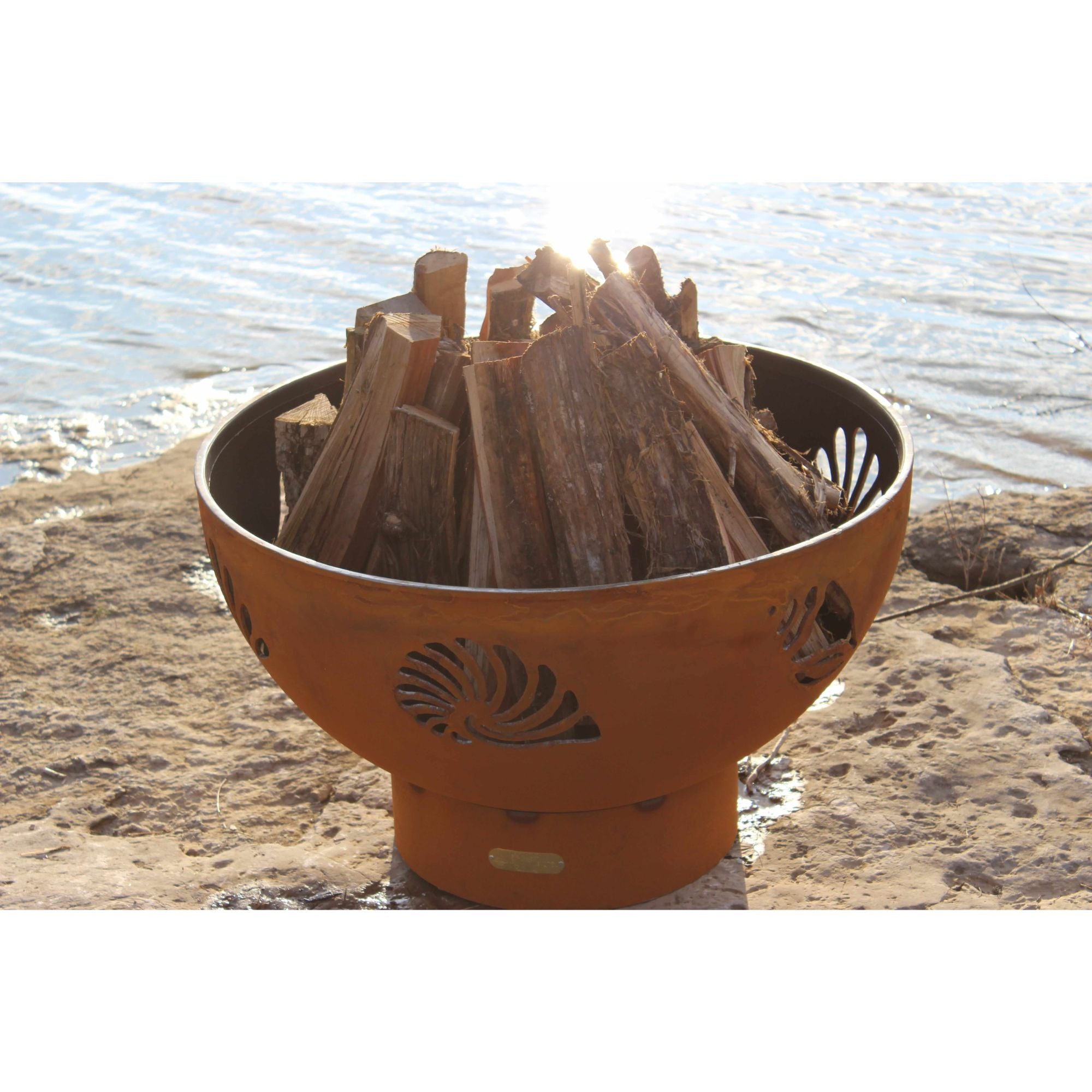 Fire pit with wooden logs on a beach